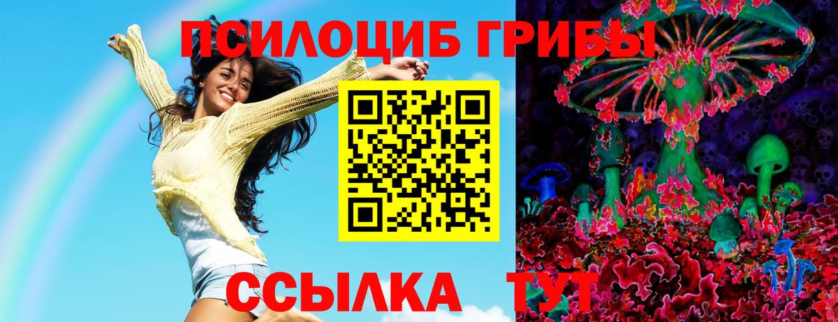 Алатырь  Галлюциногенные грибы MAGIC MUSHROOMS  Галлюциногенные грибы MAGIC MUSHROOMS  Вход с VPN 