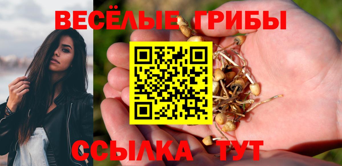 Галлюциногенные грибы мухоморы Алатырь