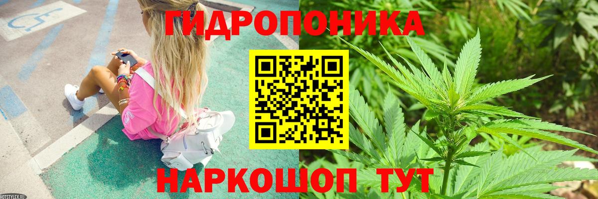 Бошки марихуана гибрид Алатырь